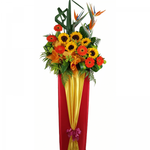 Jubilant-congratulatory-flowers