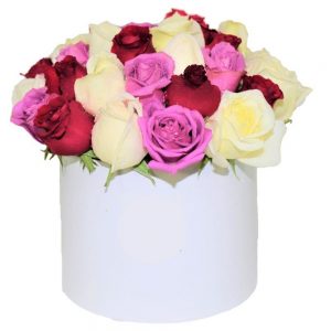 Rose-Bloom-Box